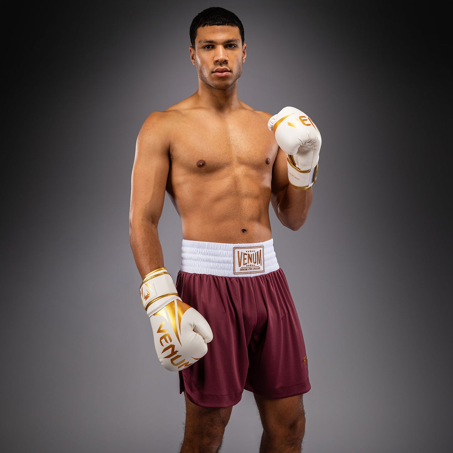 Venum Classic Pantaloncini da boxe – Borgogna
