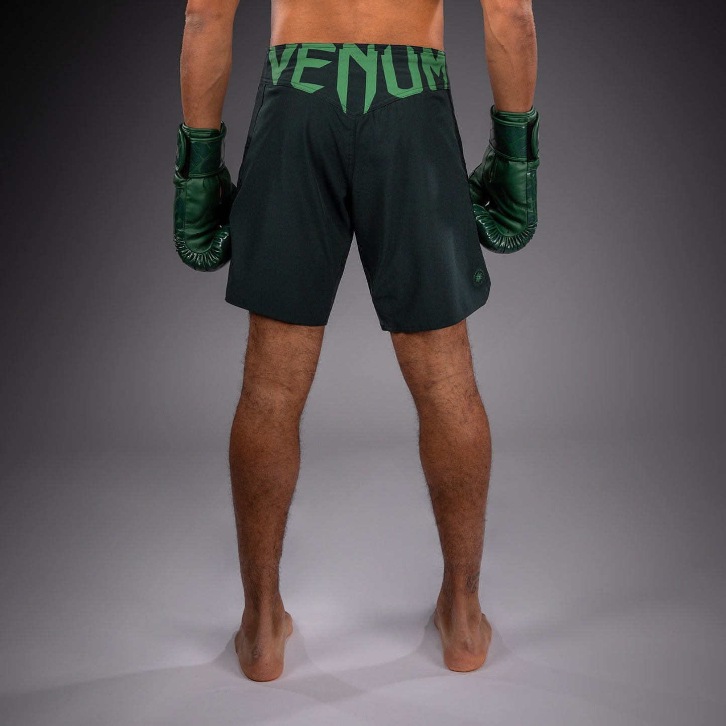 Venum Light 5.0 Fightshorts - Verde bosco/Verde chiaro