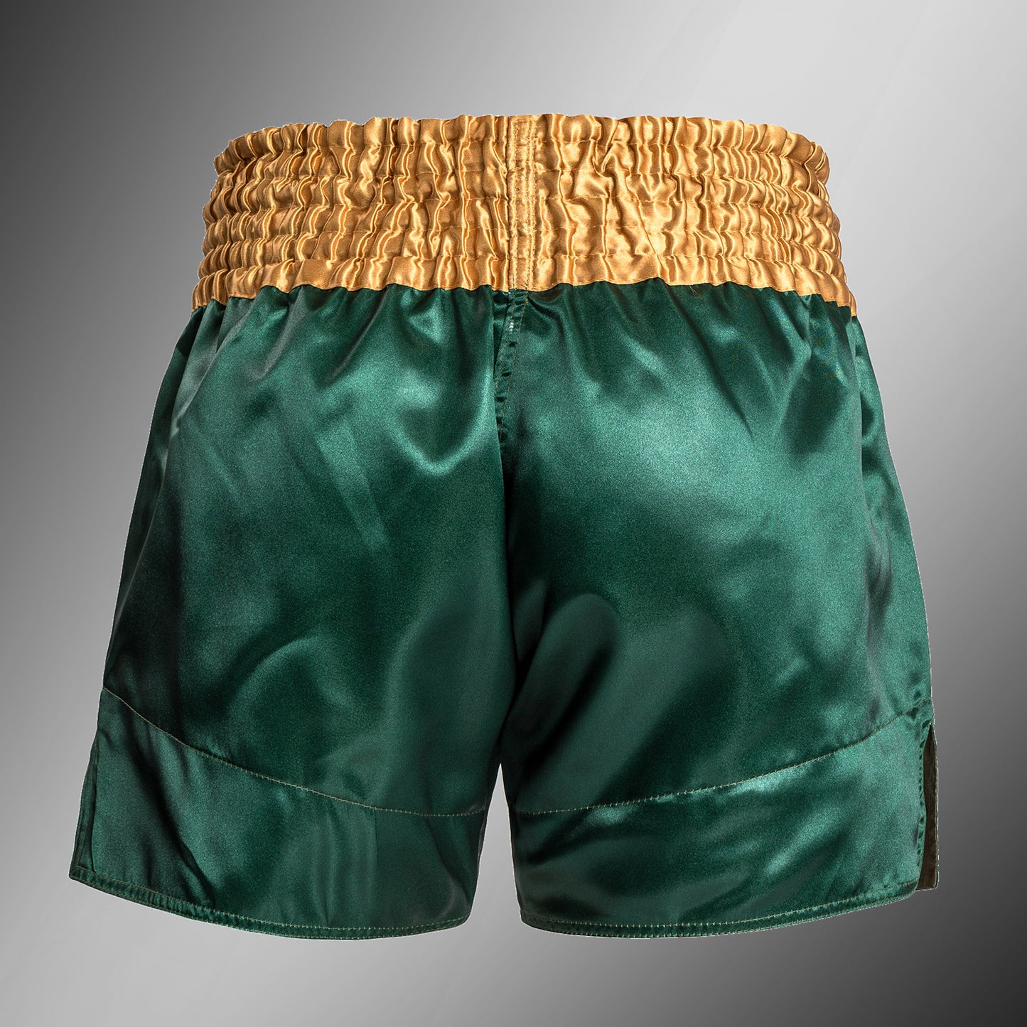 Venum Classic - Pantaloncini da Muay Thaï - Verde/Oro/Bianco