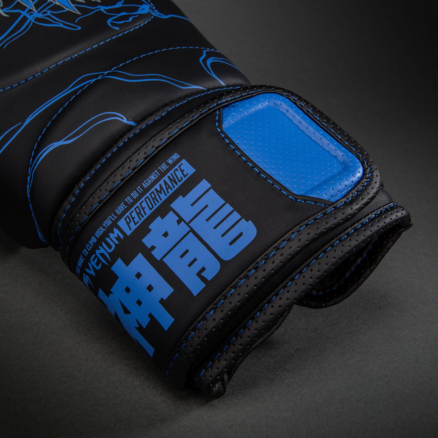 Venum Thunder Dragon Guantoni da boxe – Nero/Blu Reale