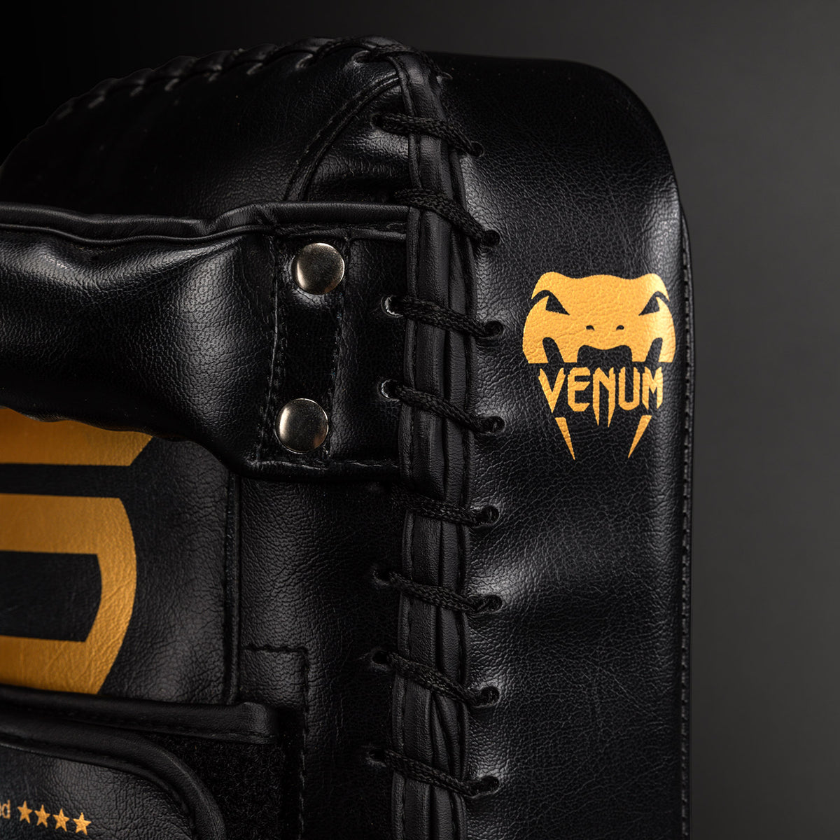 Venum Giant Pao da Kickboxing (Paio) - Nero/Oro