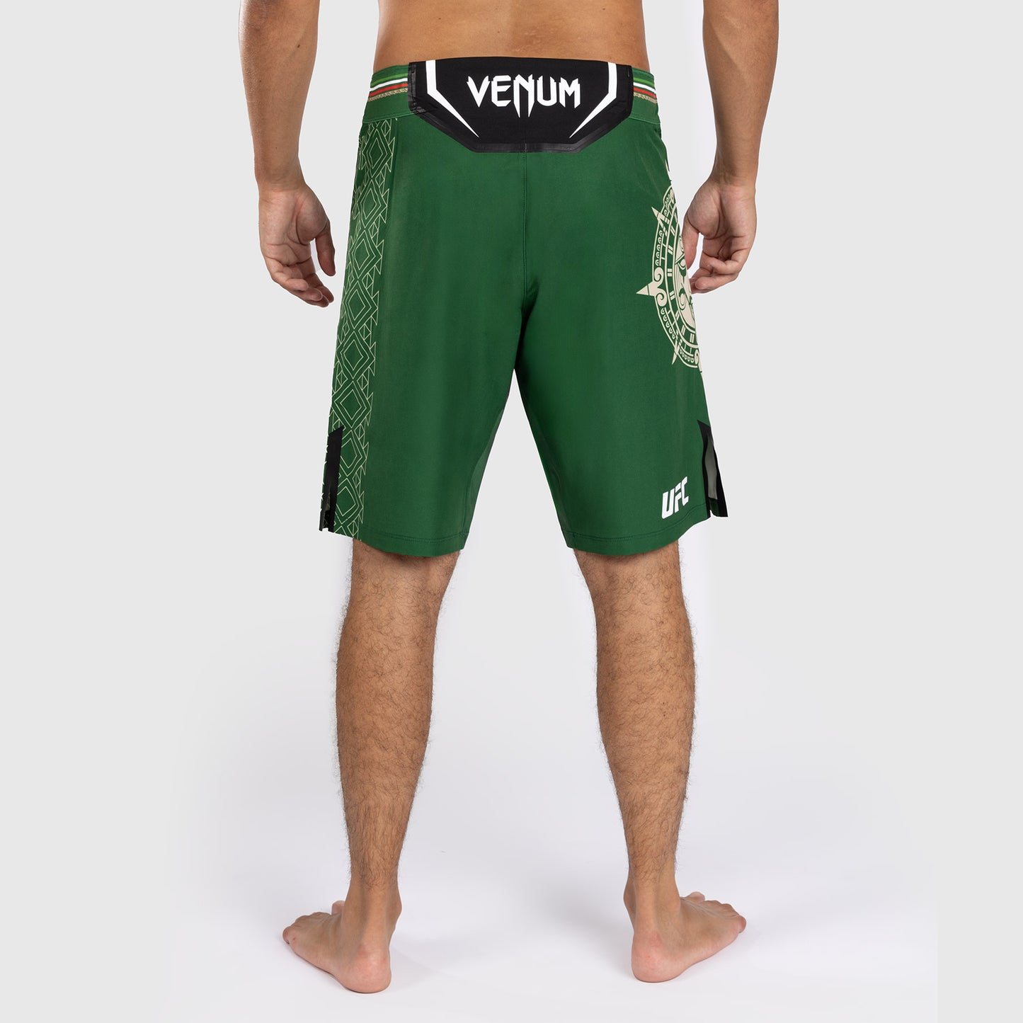 Noche UFC by Venum Authentic Fight Night Pantaloncini da combattimento da uomo - Taglio lungo - Verde