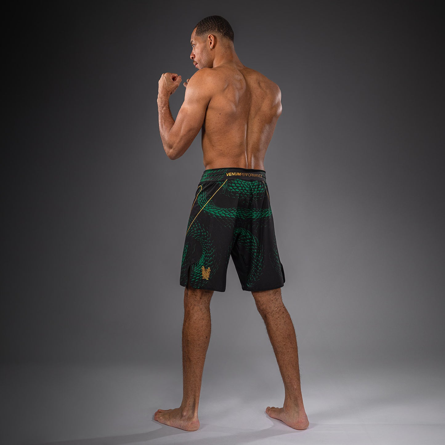Venum Matupa Pantaloncini da Combattimento - Nero/Verde/Oro