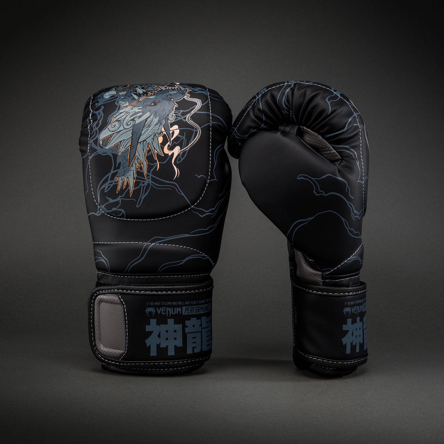 Venum Thunder Dragon Guantoni da boxe – Nero/Grigio/Rame
