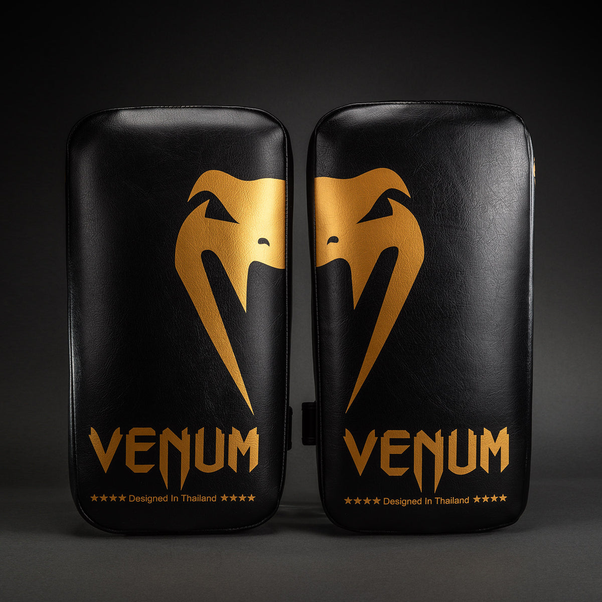 Venum Giant Pao da Kickboxing (Paio) - Nero/Oro