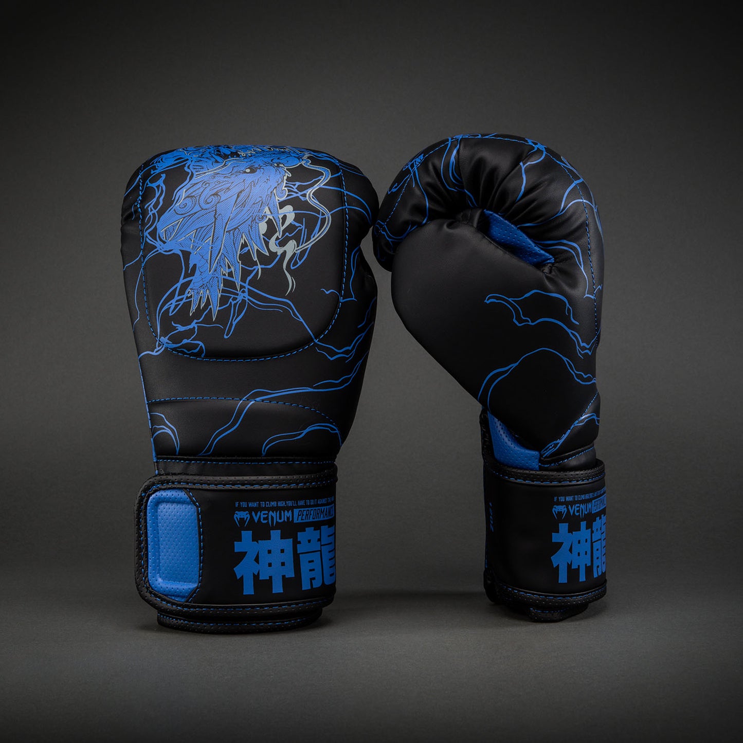 Venum Thunder Dragon Guantoni da boxe – Nero/Blu Reale
