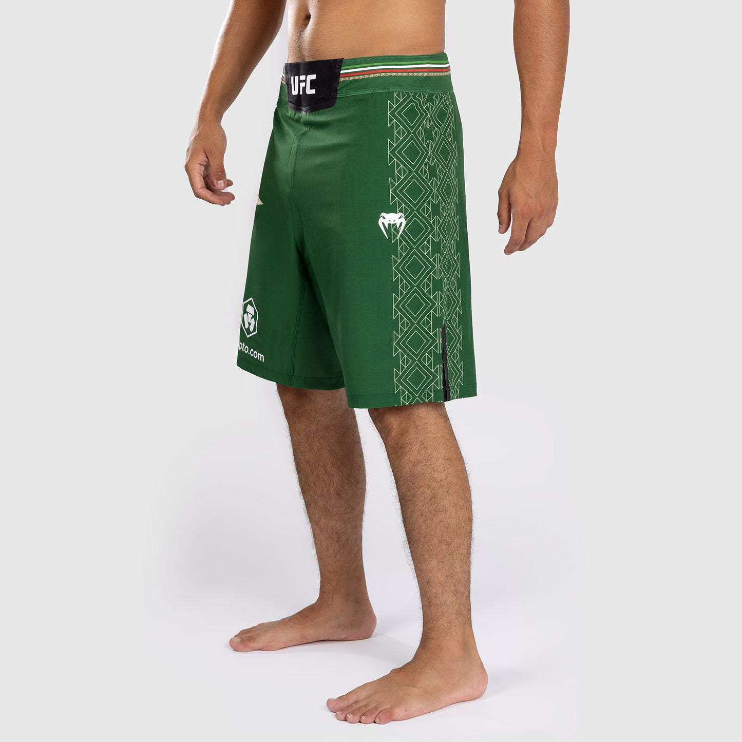 Noche UFC by Venum Authentic Fight Night Pantaloncini da combattimento da uomo - Taglio lungo - Verde