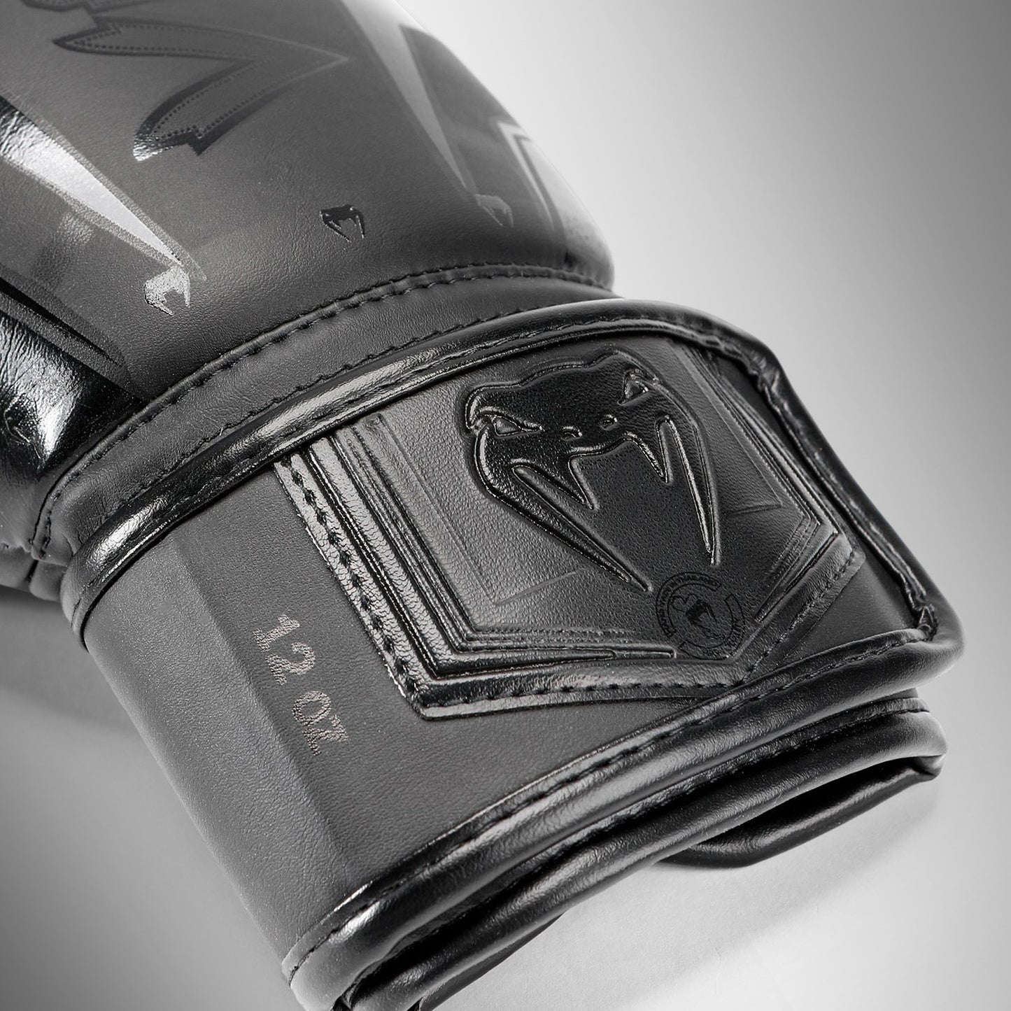Guantoni da boxe Venum Elite Evo - Nero/Nero