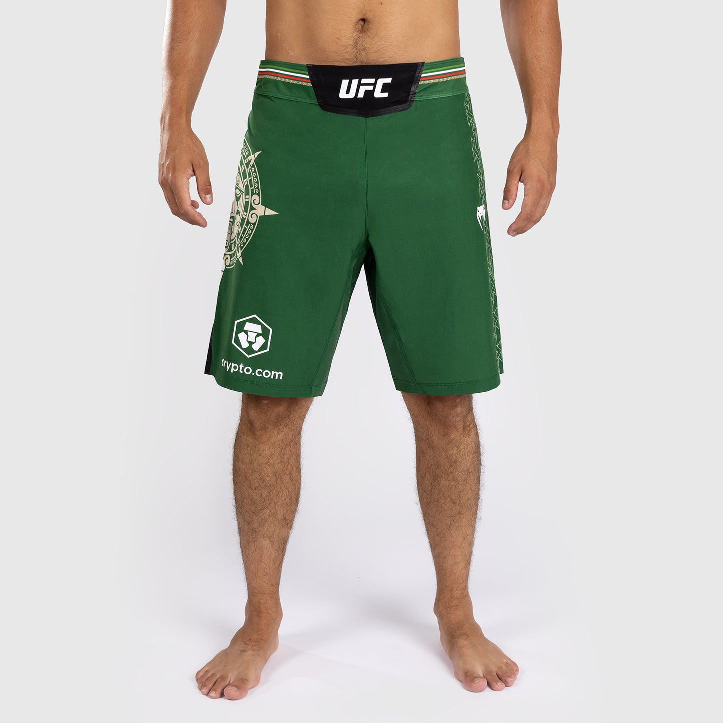 Noche UFC by Venum Authentic Fight Night Pantaloncini da combattimento da uomo - Taglio lungo - Verde