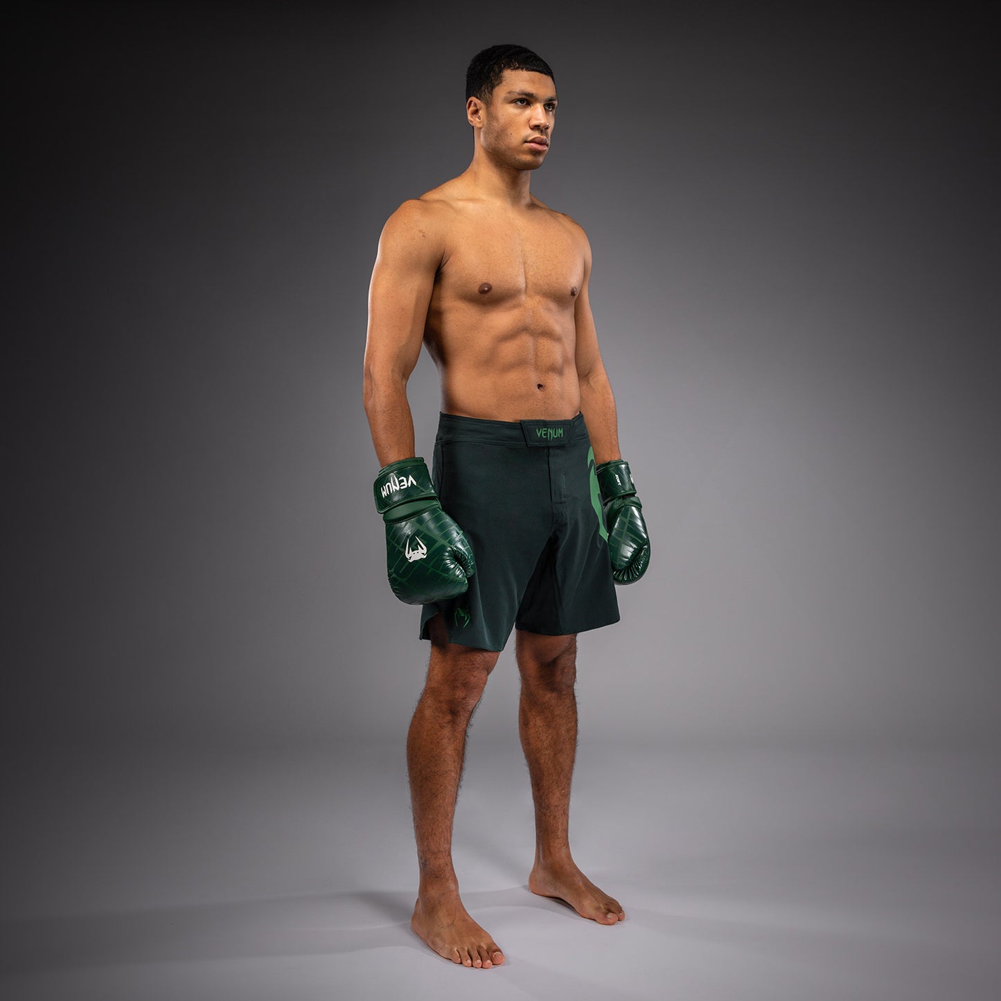 Venum Light 5.0 Fightshorts - Verde bosco/Verde chiaro
