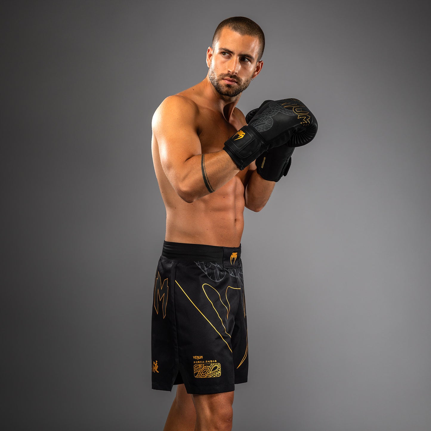 Venum Serpenti Pantaloncini da combattimento – Nero/Argento/Oro