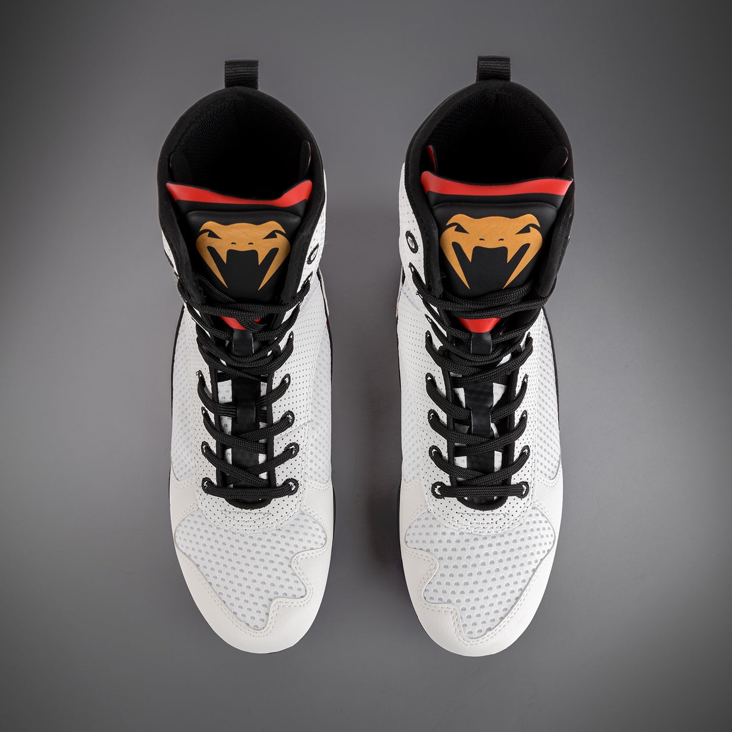 Venum Elite Scarpe da Boxe - Ghiaccio/Oro