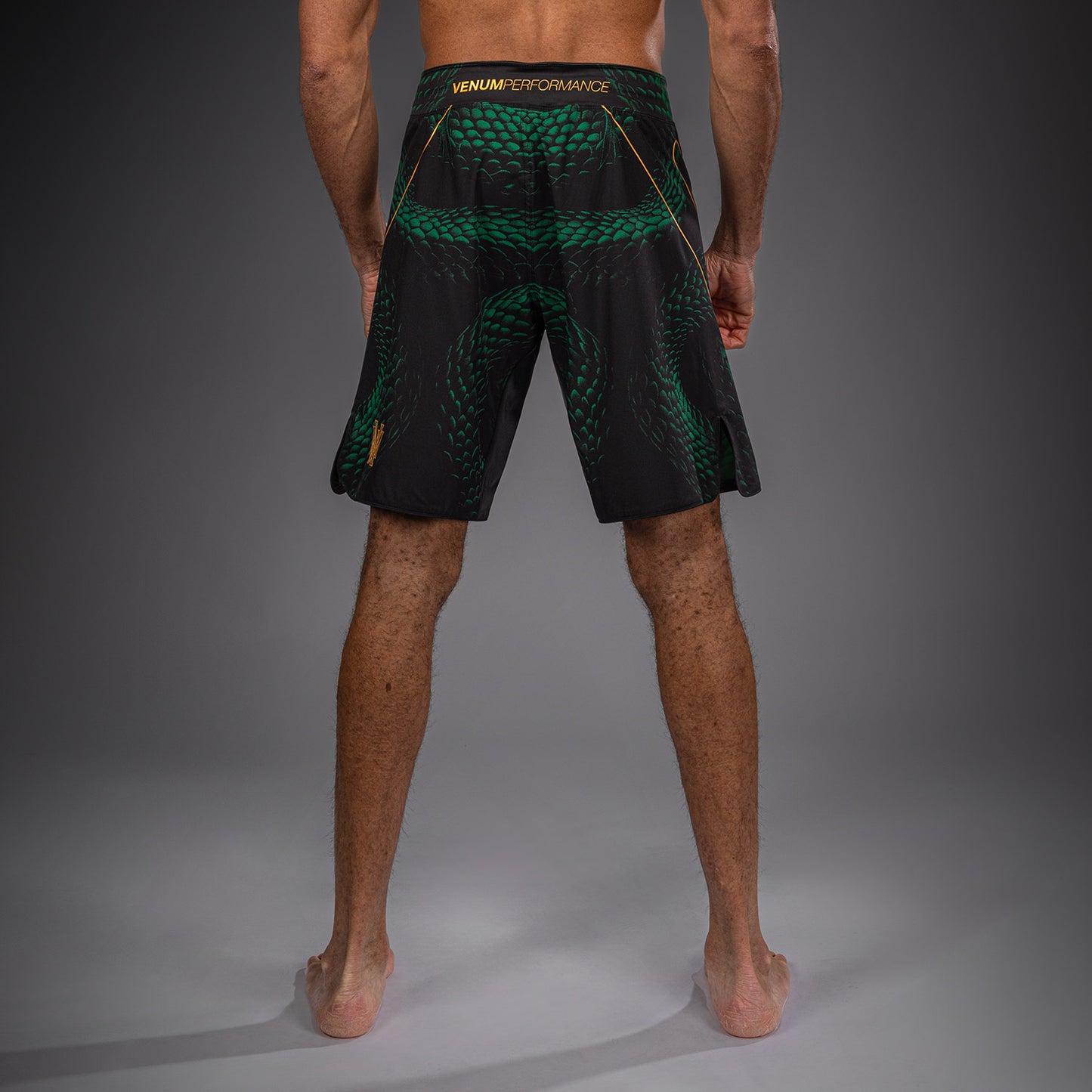 Venum Matupa Pantaloncini da Combattimento - Nero/Verde/Oro