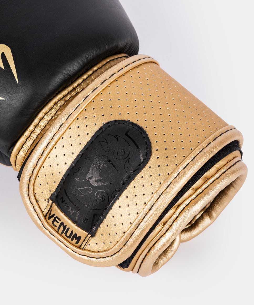 Guantoni da boxe Venum Power 2.0 - Nero/Oro