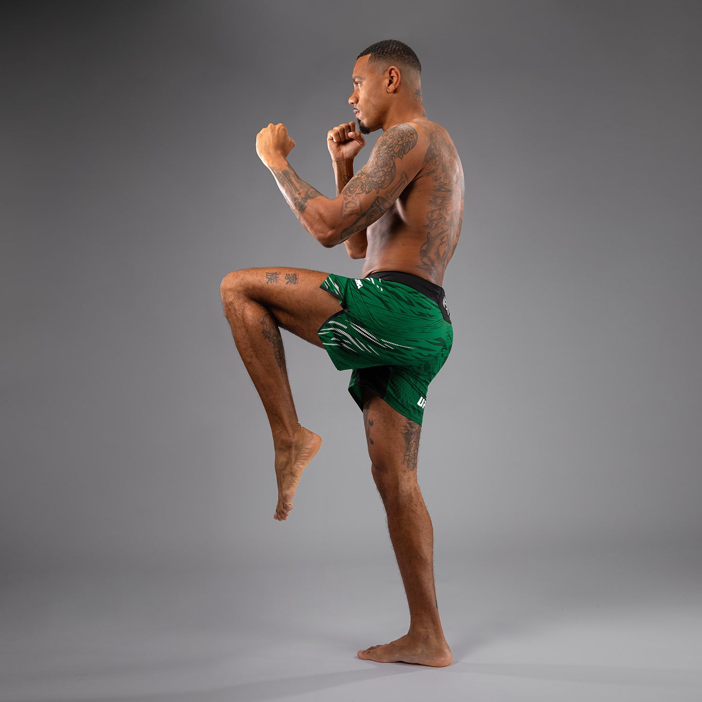 UFC Fusion by Venum Authentic Fight Night Shorts da Lotta per Uomo - Fit Corto - Verde