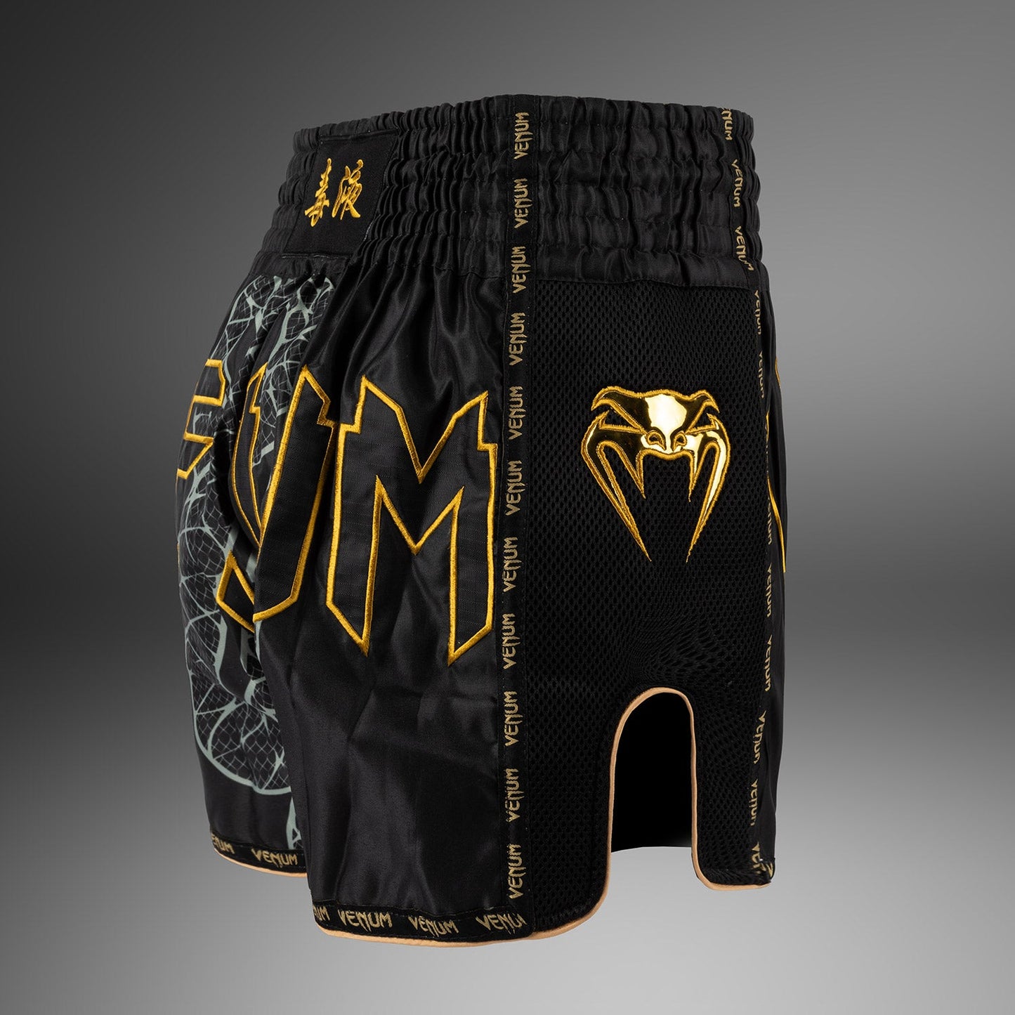 Venum Serpenti Pantaloncini Muay Thai – Nero/Argento/Oro
