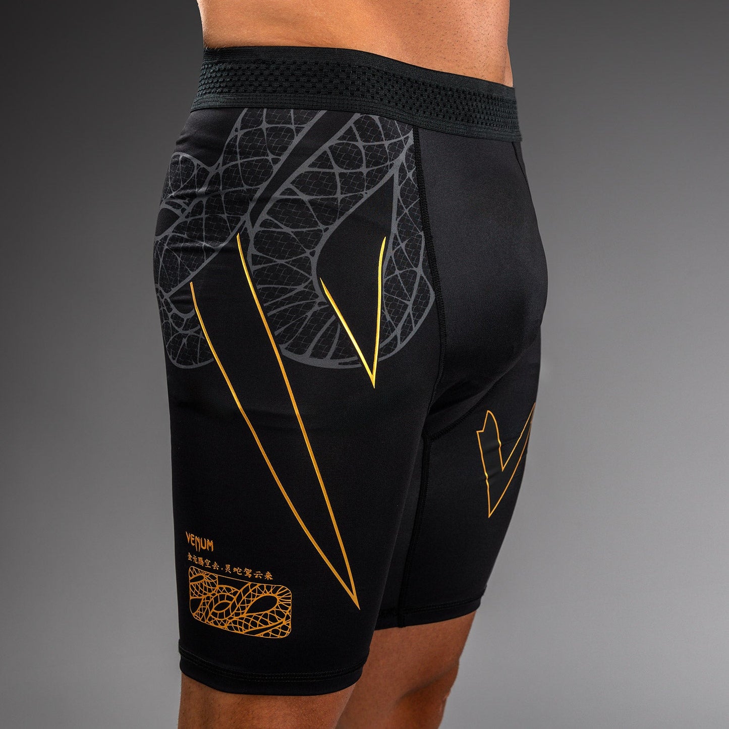 Venum Serpenti Pantaloncini Vale Tudo – Nero/Argento/Oro