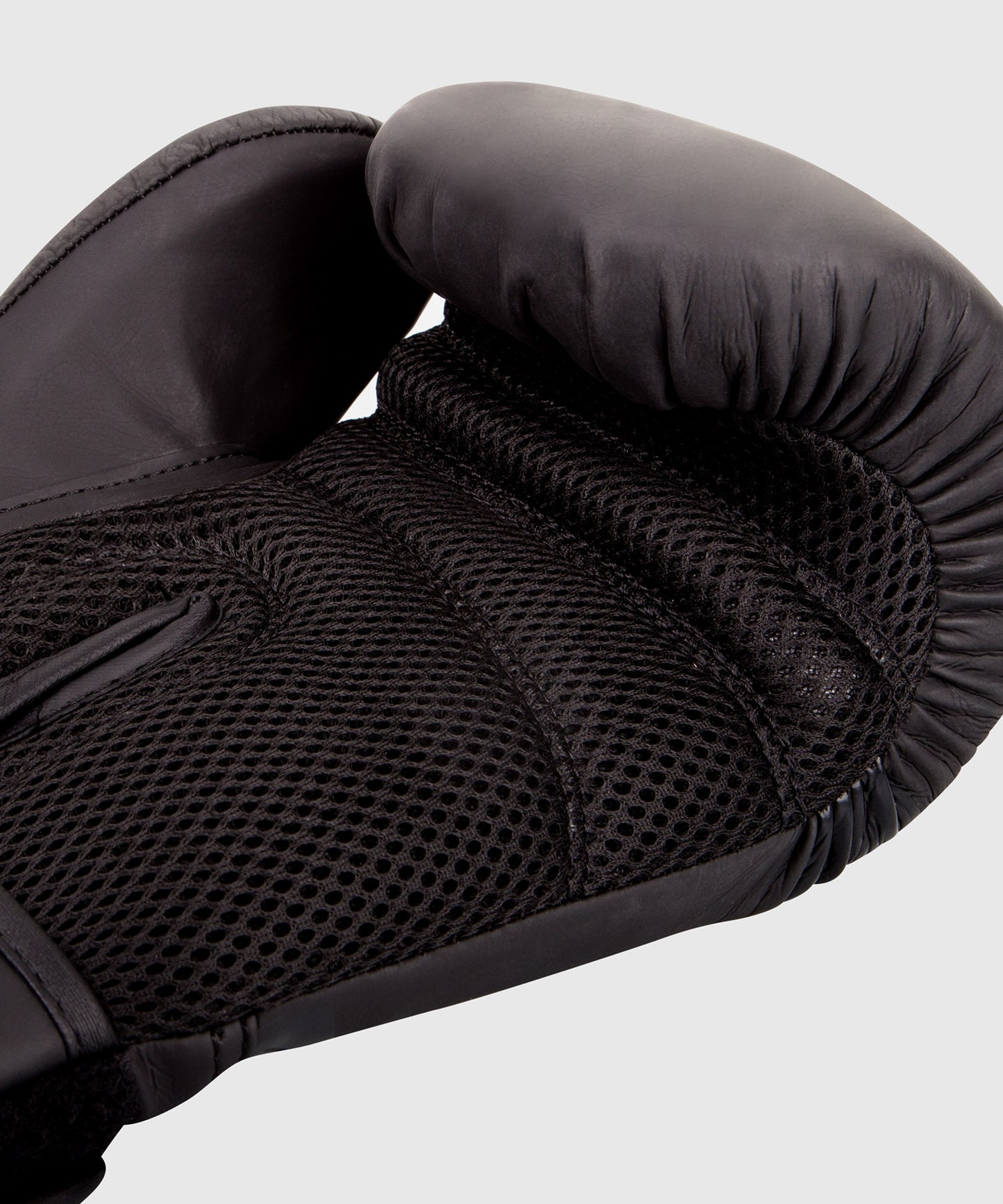 Guantoni da Boxe Ringhorns Charger