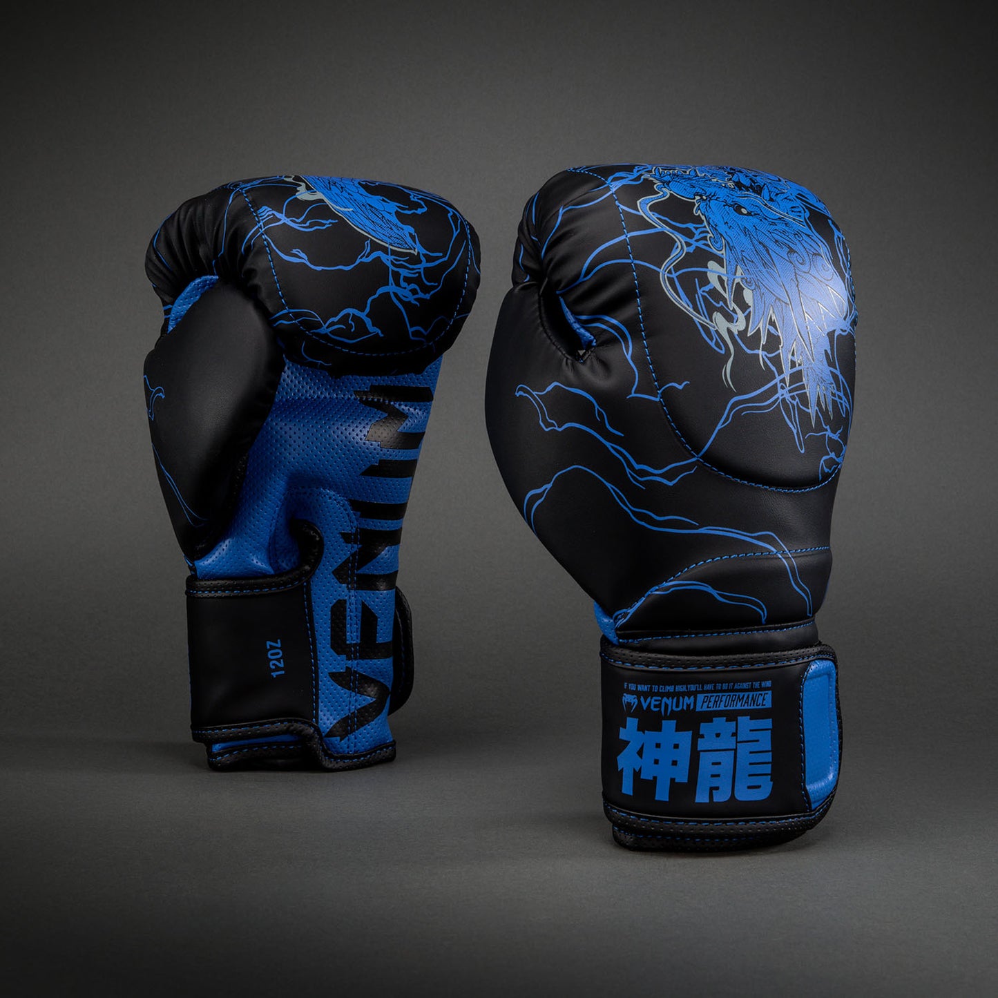 Venum Thunder Dragon Guantoni da boxe – Nero/Blu Reale