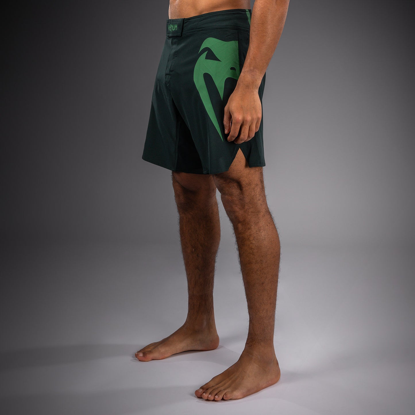 Venum Light 5.0 Fightshorts - Verde bosco/Verde chiaro