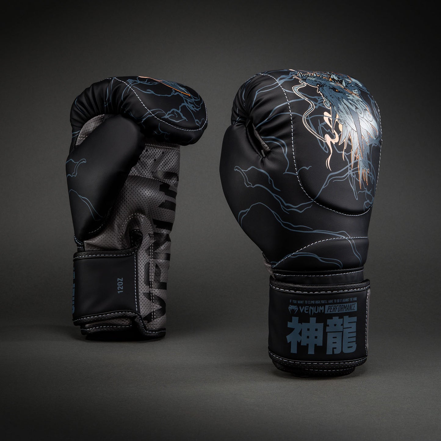 Venum Thunder Dragon Guantoni da boxe – Nero/Grigio/Rame