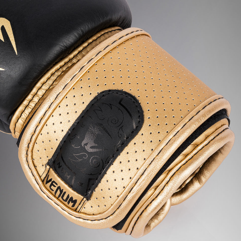 Guantoni da boxe Venum Power 2.0 - Nero/Oro