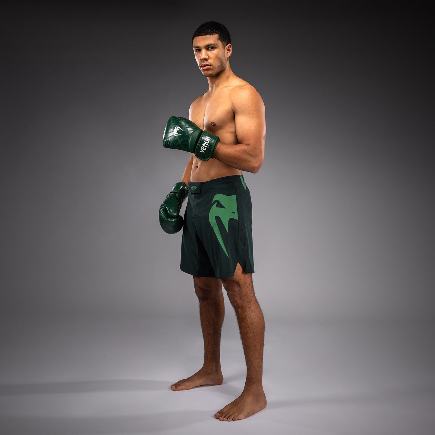 Venum Light 5.0 Fightshorts - Verde bosco/Verde chiaro