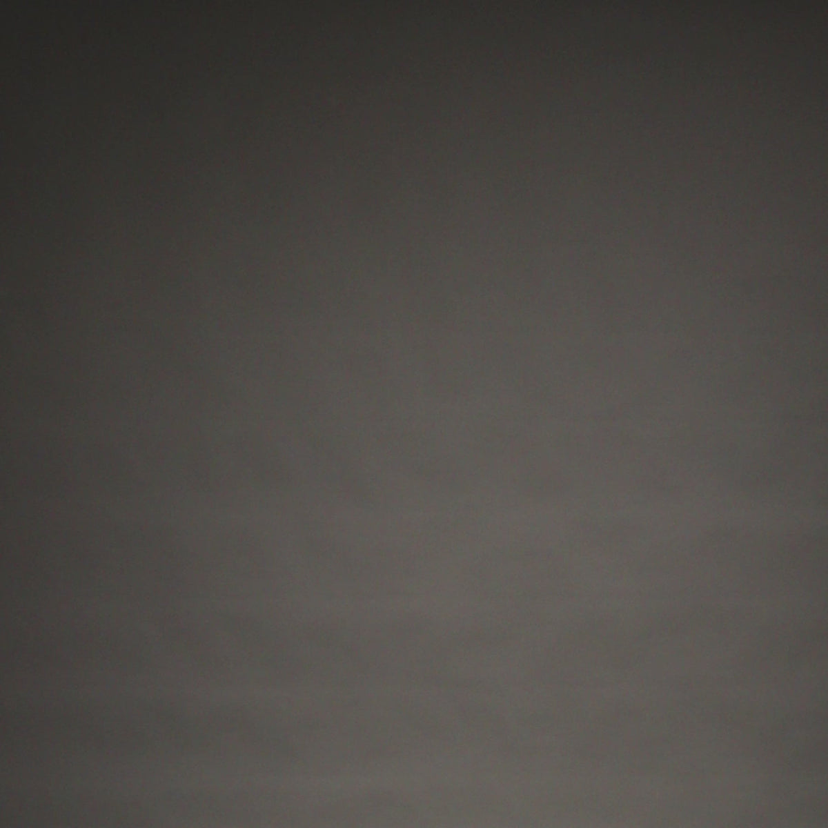 VENUM-06481-109